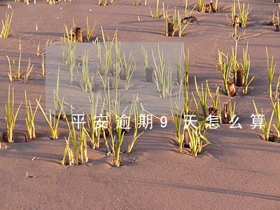 平安逾期9天怎么算 平安逾期9天怎么算