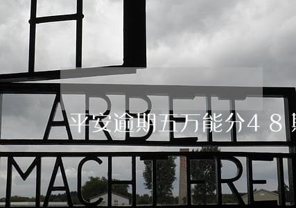 平安逾期五万能分48期吗