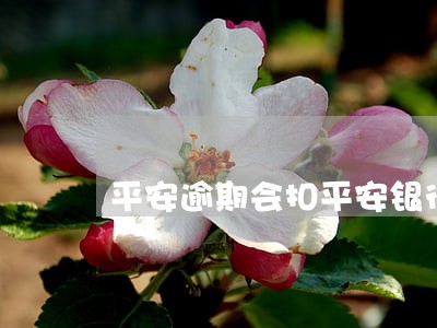 平安逾期会扣平安银行卡吗 平安逾期会扣平安银行卡吗