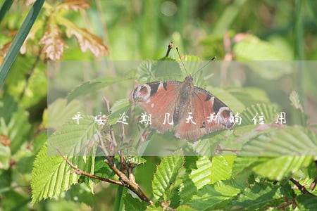 平安逾期几天影响信用