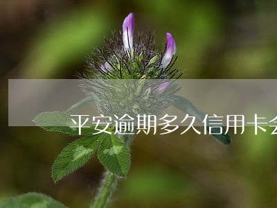 平安逾期多久信用卡会被锁卡