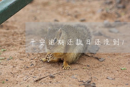 平安逾期还款日还没到12点 平安逾期还款日还没到12点
