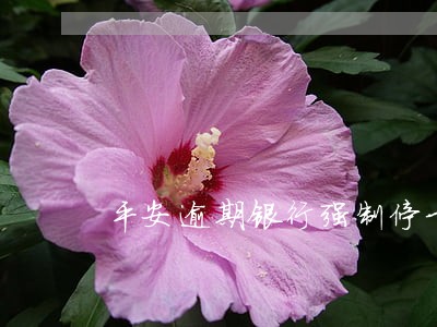 平安逾期银行强制停卡 平安逾期银行强制停卡