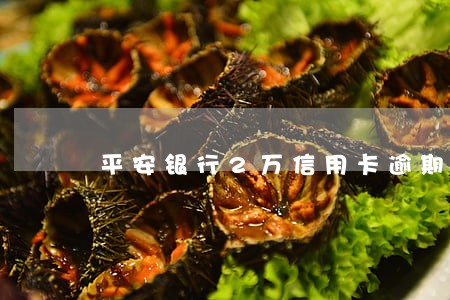 平安银行2万信用卡逾期