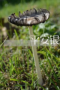 平安银行3年逾期还款 平安银行3年逾期还款