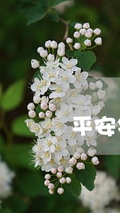 平安银行i贷款逾期一天 平安银行i贷款逾期一天