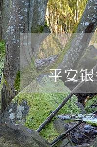平安银行什么样的算逾期信用卡