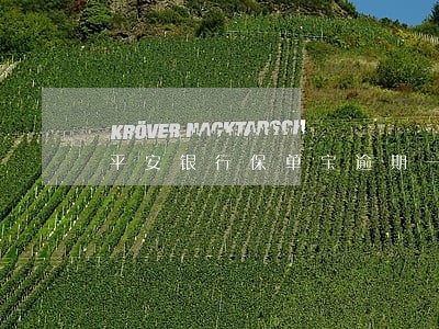 平安银行保单宝逾期一天上征信么