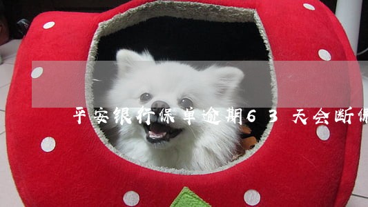 平安银行保单逾期63天会断保吗 平安银行保单逾期63天会断保吗