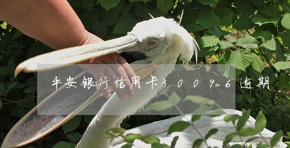 平安银行信用卡30096逾期 平安银行信用卡30096逾期