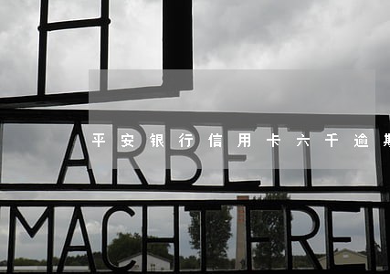 平安银行信用卡六千逾期一年 平安银行信用卡六千逾期一年