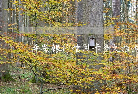 平安银行信用卡多久报逾期 平安银行信用卡多久报逾期