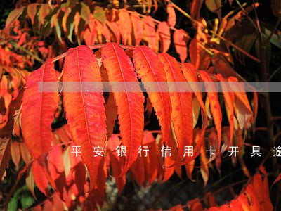 平安银行信用卡开具逾期证明 平安银行信用卡开具逾期证明