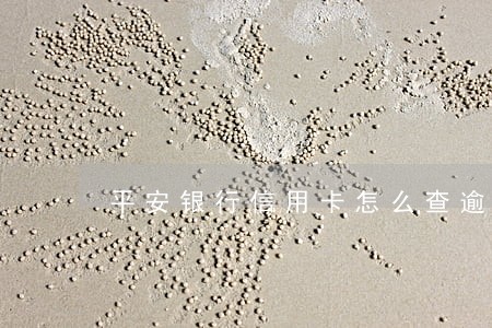 平安银行信用卡怎么查逾期