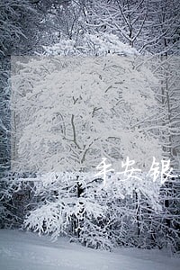 平安银行信用卡有几次逾期