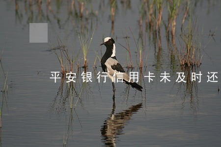 平安银行信用卡未及时还款逾期 平安银行信用卡未及时还款逾期