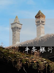 平安银行信用卡欠11万逾期 平安银行信用卡欠11万逾期