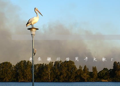 平安银行信用卡欠款5万逾期 平安银行信用卡欠款5万逾期