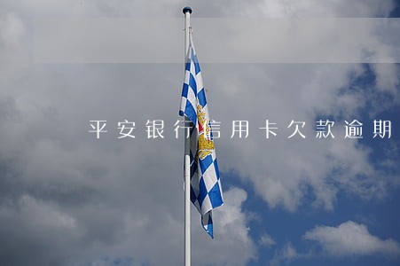 平安银行信用卡欠款逾期怎么办