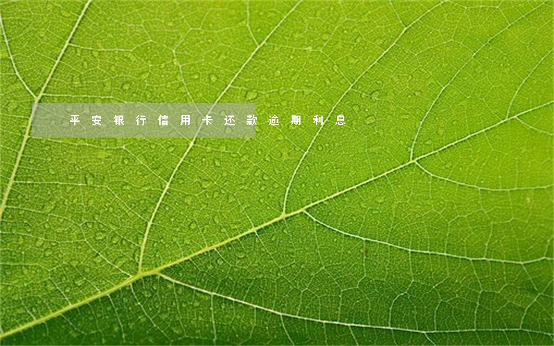 平安银行信用卡还款逾期利息 平安银行信用卡还款逾期利息