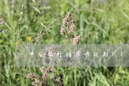平安银行信用卡逾期12天还款 平安银行信用卡逾期12天还款