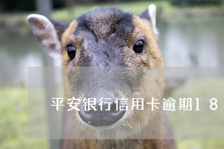 平安银行信用卡逾期180天 平安银行信用卡逾期180天