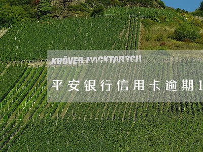 平安银行信用卡逾期1天怎么办 平安银行信用卡逾期1天怎么办