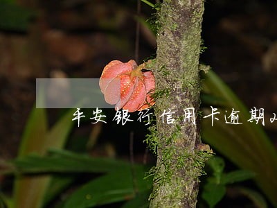 平安银行信用卡逾期20天怎么办