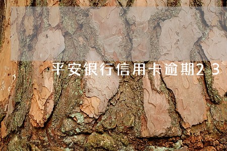平安银行信用卡逾期23元