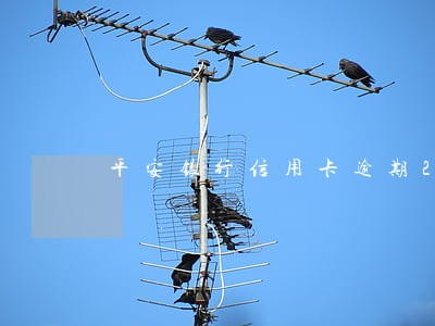 平安银行信用卡逾期2万上门 平安银行信用卡逾期2万上门