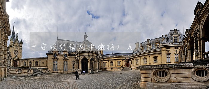 平安银行信用卡逾期2月