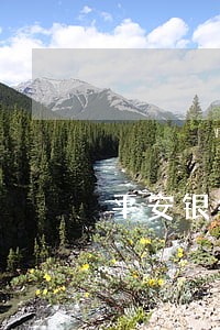 平安银行信用卡逾期3个月后果 平安银行信用卡逾期3个月后果