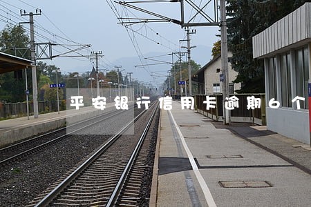 平安银行信用卡逾期6个月 平安银行信用卡逾期6个月