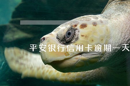 平安银行信用卡逾期一天会怎样 平安银行信用卡逾期一天会怎样