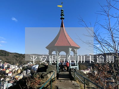 平安银行信用卡逾期一天利息 平安银行信用卡逾期一天利息