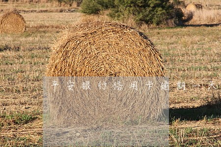 平安银行信用卡逾期一天还款 平安银行信用卡逾期一天还款