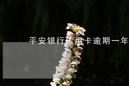 平安银行信用卡逾期一年还款多少