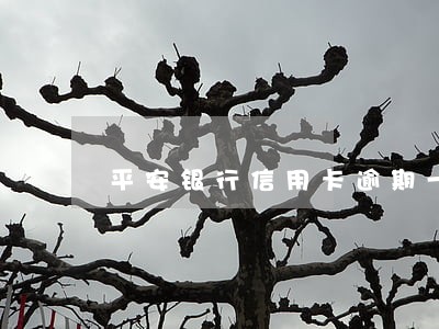平安银行信用卡逾期一次后果