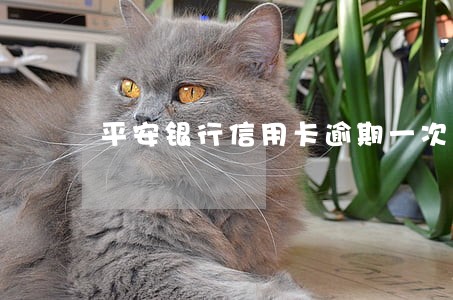 平安银行信用卡逾期一次还款 平安银行信用卡逾期一次还款