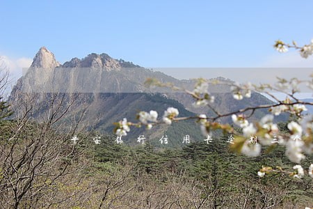 平安银行信用卡逾期三个月了吗 平安银行信用卡逾期三个月了吗