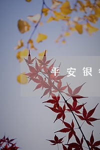 平安银行信用卡逾期三个月后