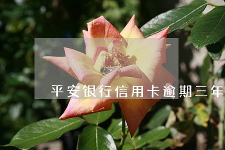 平安银行信用卡逾期三年怎么办 平安银行信用卡逾期三年怎么办