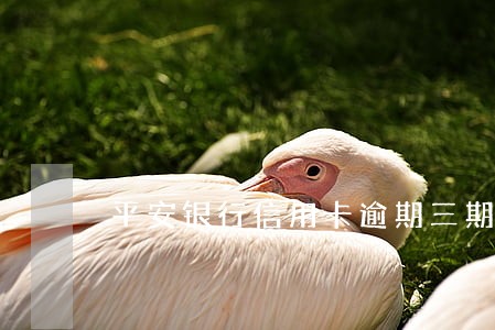 平安银行信用卡逾期三期账单 平安银行信用卡逾期三期账单