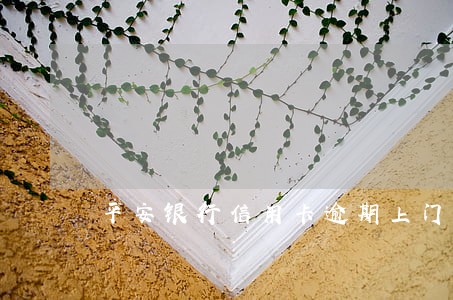 平安银行信用卡逾期上门拍照 平安银行信用卡逾期上门拍照