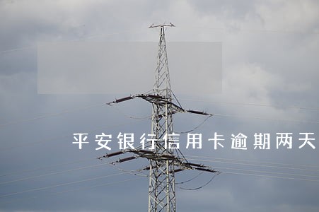 平安银行信用卡逾期两天还款后果