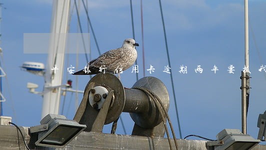 平安银行信用卡逾期两年要抓我 平安银行信用卡逾期两年要抓我