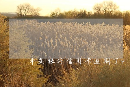 平安银行信用卡逾期了4天 平安银行信用卡逾期了4天
