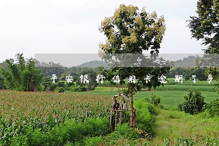平安银行信用卡逾期了多久能还 平安银行信用卡逾期了多久能还