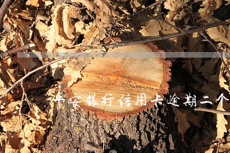 平安银行信用卡逾期二个月 平安银行信用卡逾期二个月