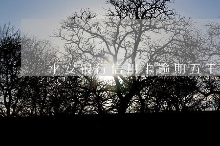 平安银行信用卡逾期五千一年 平安银行信用卡逾期五千一年